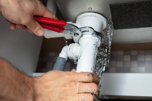 Best Flood restoration services  in Deerfield, IL