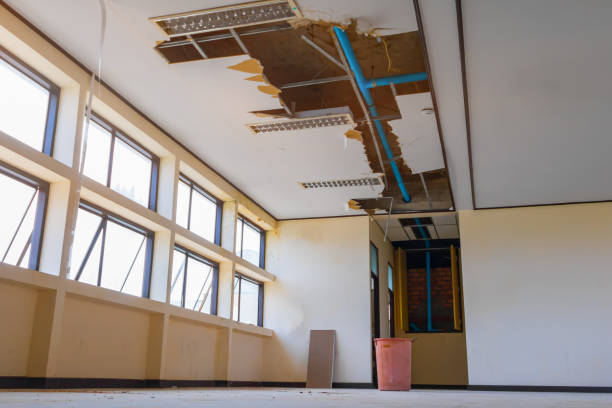 Best Water damage mitigation services  in Deerfield, IL