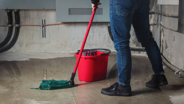 Best Flooded house restoration  in Deerfield, IL