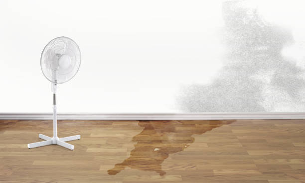Best Fire Damage Restoration  in Deerfield, IL