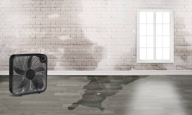 Deerfield, IL Water damage restoration Company