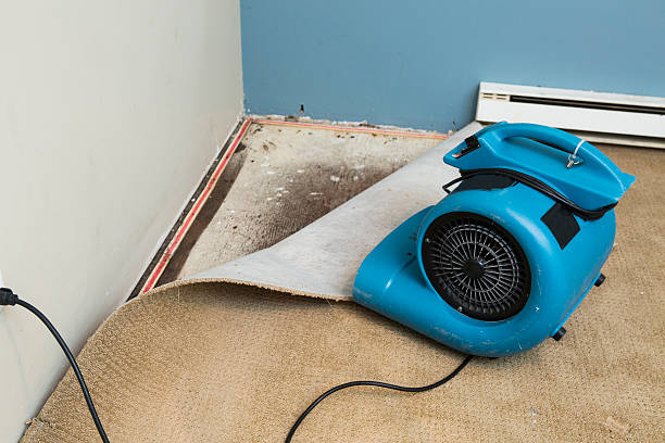 Best 24-hour water damage restoration  in Deerfield, IL